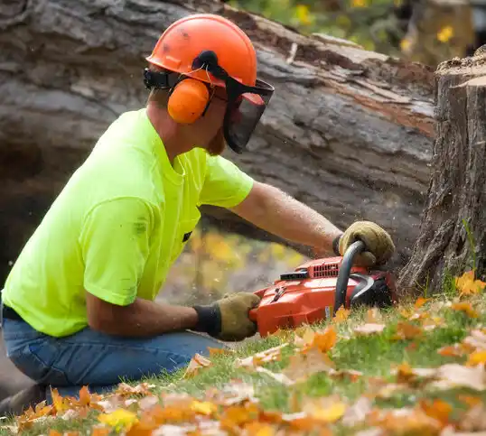 tree services Corinth